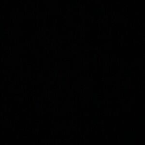 Meet your Posher, Chase